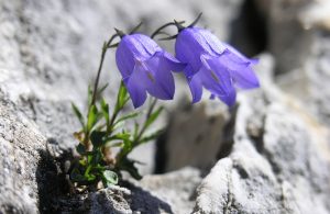self-guided hiking trek in bulgaria