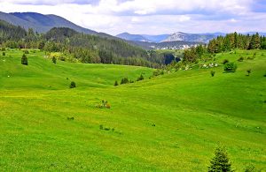 rhodope mountains hiking and trekking tours, bulgaria