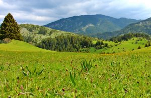 rhodope mountains walking and hiking tours, bulgaria