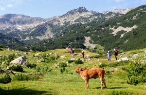 hiking and trekking tours in bulgaria
