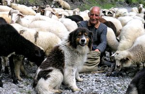 rhodope mountains walking and hiking tours, bulgaria