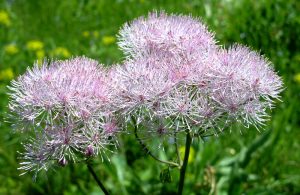 rila mountains walking and hiking tours, bulgaria