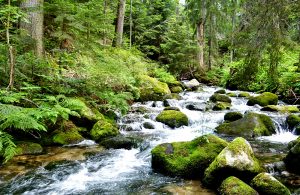 rila mountains walking and hiking tours, bulgaria